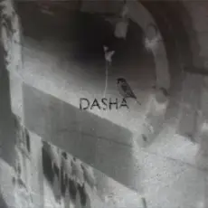 Dasha - 2 Weeks