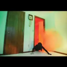 ADULT. - Fools (We Are...)