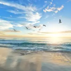 unknown - Шум моря, релакс