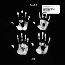 Kaleo - Way Down We Go