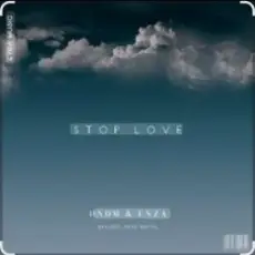 DNDM feat. ENZA - Stop Love