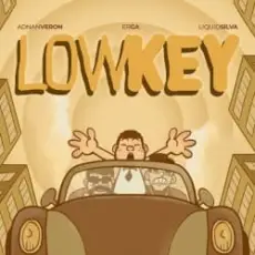 Tujamo & Adnan Veron & Erga - Lowkey (with Liquid Silva)