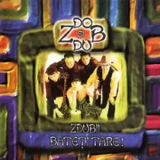 Zdob şi Zdub - Muzica