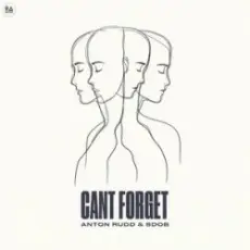 Anton Rudd & Sdob - Cant Forget