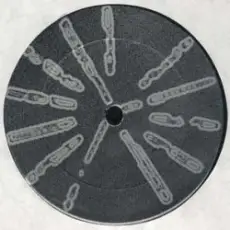 Basic Channel - Phylyps trak II