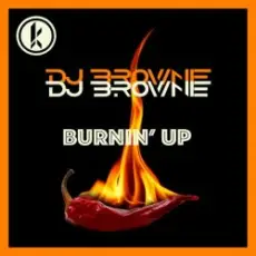 DJ Brownie - Burnin Up
