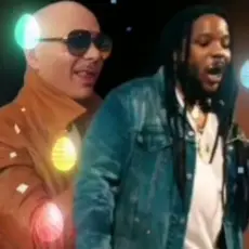 Pitbull feat. Stephen Marley - Options