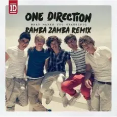 One Direction - What Makes You Beautiful (Mentol Remix)