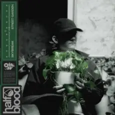 Skybreak - STREET GARDEN