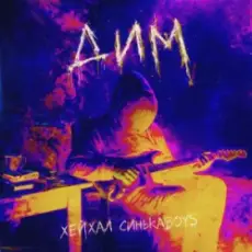 Хейхал & Синькаboys - Дим (Rock version)