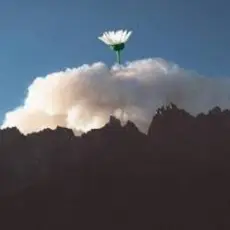 25/17 & Ёлка - Любовь во время чумы