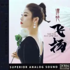 Tan Yan - Thinking About Your Feelings