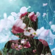 Bosnia & Михаил The Bojarski - Without Chance