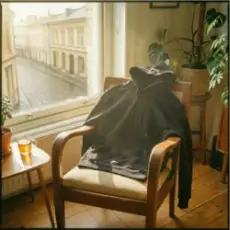 Обложка трека Худі