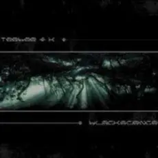 Teebee and K - Nightstalker