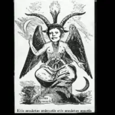 Юра Демидович - Волшебный Кролик (реверс)