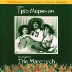 Тріо Маренич - Чом ти не прийшов