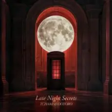 TCHAMI & OOTORO - Late Night Secret