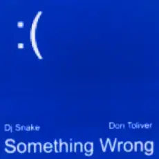DJ Snake & Don Toliver - Something Wrong