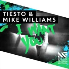 Tiesto & Mike Williams - I Want You (Extended Mix)