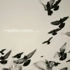 Venetian Snares - Swindon