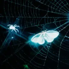 MOTHICA - Toxins (Remix)