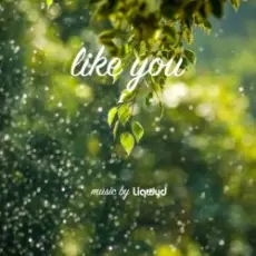 LiQWYD - Like You