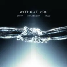 Gryffin & Avello & Sasha Alex Sloan - Without You