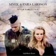 Mnek vs. Zara Larsson - Never Forget You (Stefiibeats Remix)