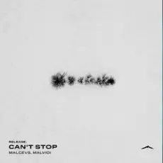 MALCEVS, Hrederik, MALVIDI - Addiction