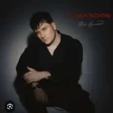 KALVADOS - Твой взгляд