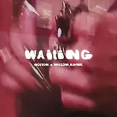 NOTION & Willow Kayne - WAITING