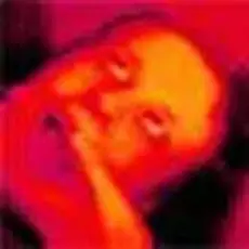 Плед - Вторник