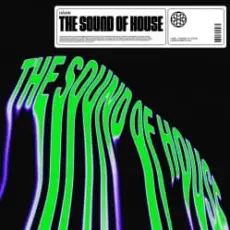 HÄWK, Azooland - The Sound Of House (Extended Mix)