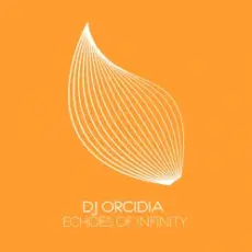 DJ Orcidia - Echoes Of Infinity (Extended Mix)