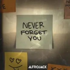 AFROJACK - Never Forget You