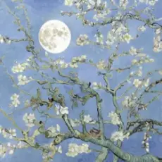 JVKE & JEON SOMI - moonboy