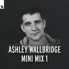 Ashley Wallbridge - Mumbai Traffic (Armin van Buuren's Edit)