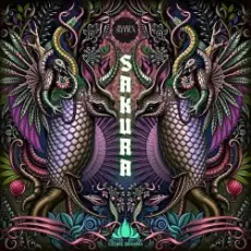 Cosmic Brahma - Samurai Jack