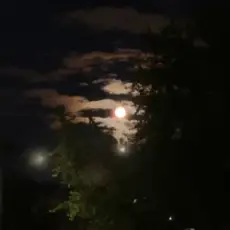 ALEKCION - Ніч кохання