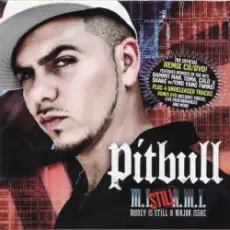 Pitbull ft. Lil' Flip - Dammit Man (Remix)