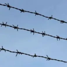 KALUSCH & Хайповий - Небо в Концтаборі