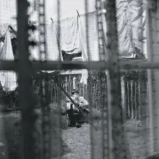 Paul McCartney - English Tea