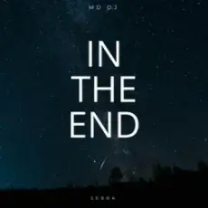 MD Dj & Sebba - In The End