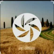 FEWZ - Golden Fields