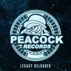 Dr. Peacock & Hyrule War - Imagination (Original Mix)