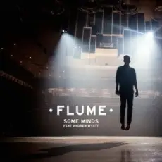 Flume - Some Minds (Feat. Andrew Wyatt)