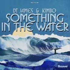 DT James & Kimbo - Something In The Water