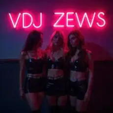 VDJ ZEWS - Random Feelings