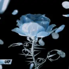 Synergy & RIENK - Stay